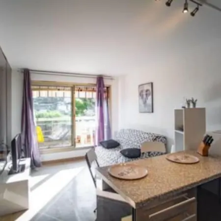 Apartment Studio Dans Belle Parking Et Piscine Nice